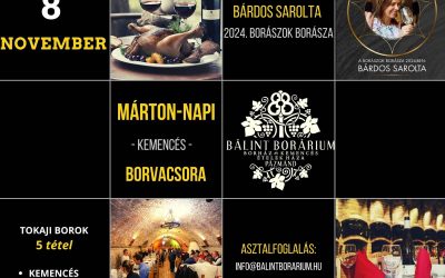 UNIKÁLIS Márton-napi BORVACSORA a Velencei-tónál!